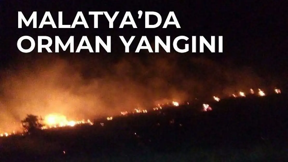 Malatyada orman yangını