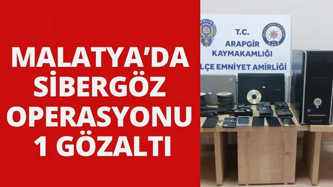 Malatyada Sibergöz operasyonu: 1 gözaltı