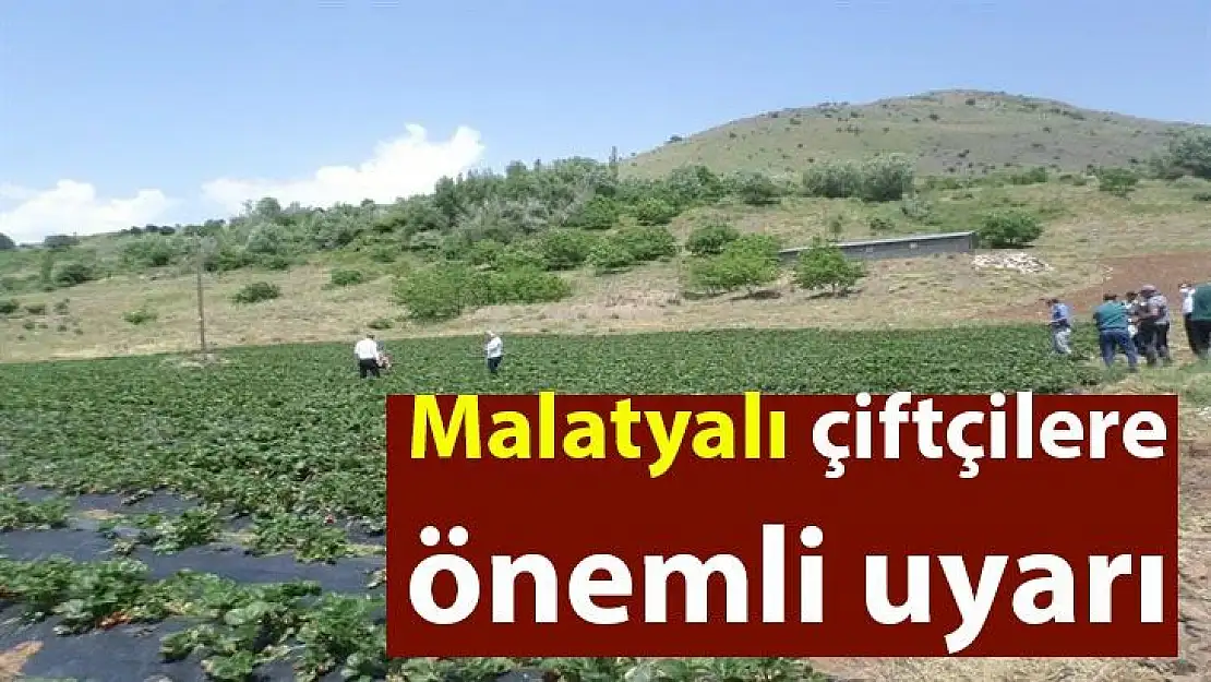 Malatyalı çiftçilere önemli uyarı