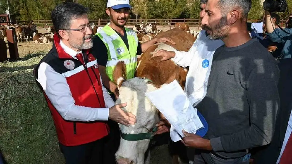 'Malatyalı depremzedelere büyükbaş hayvan desteği'