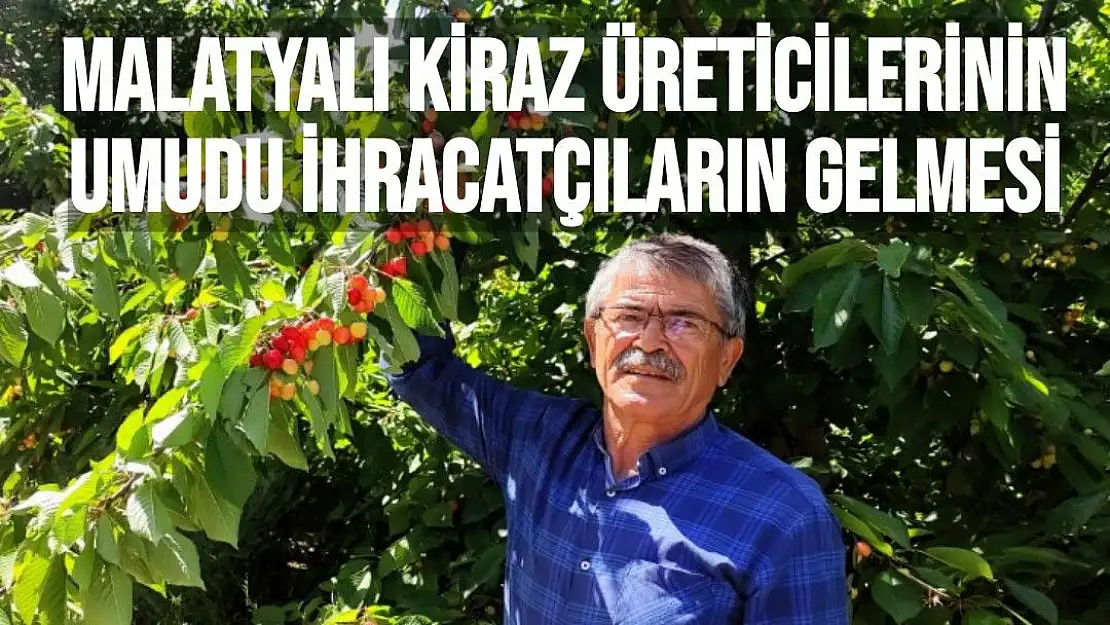 Malatyalı kiraz üreticilerinin umudu ihracatçıların gelmesi