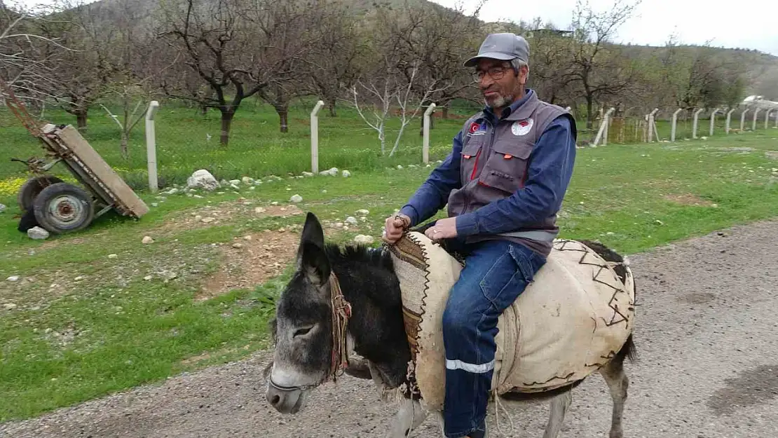 Malatya'da Eşekler Azalıyor