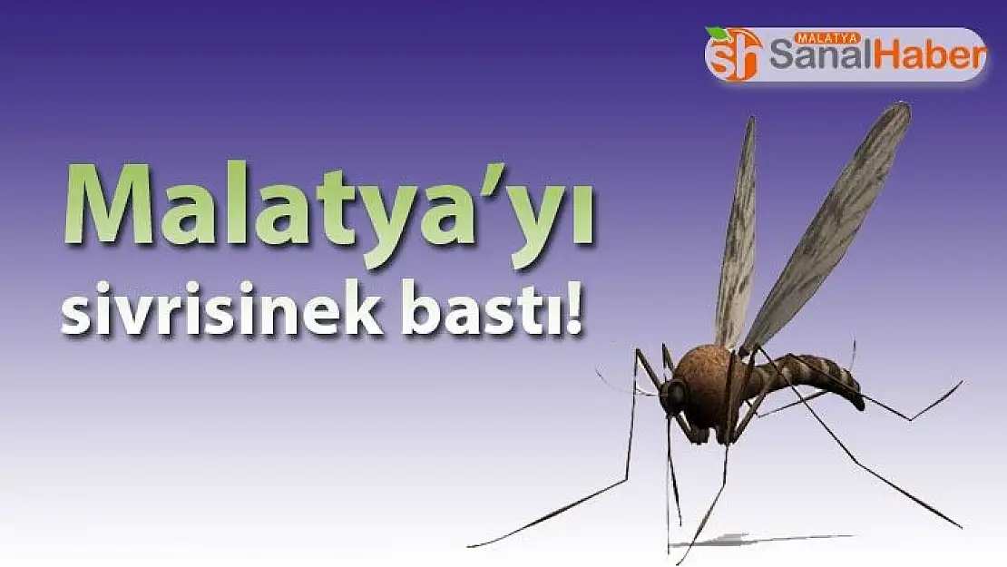 Malatya´yı sivrisinek bastı!
