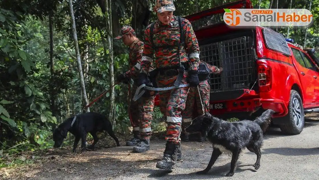 Malezya'da kayıp İrlandalı kızın ayak izi bulundu