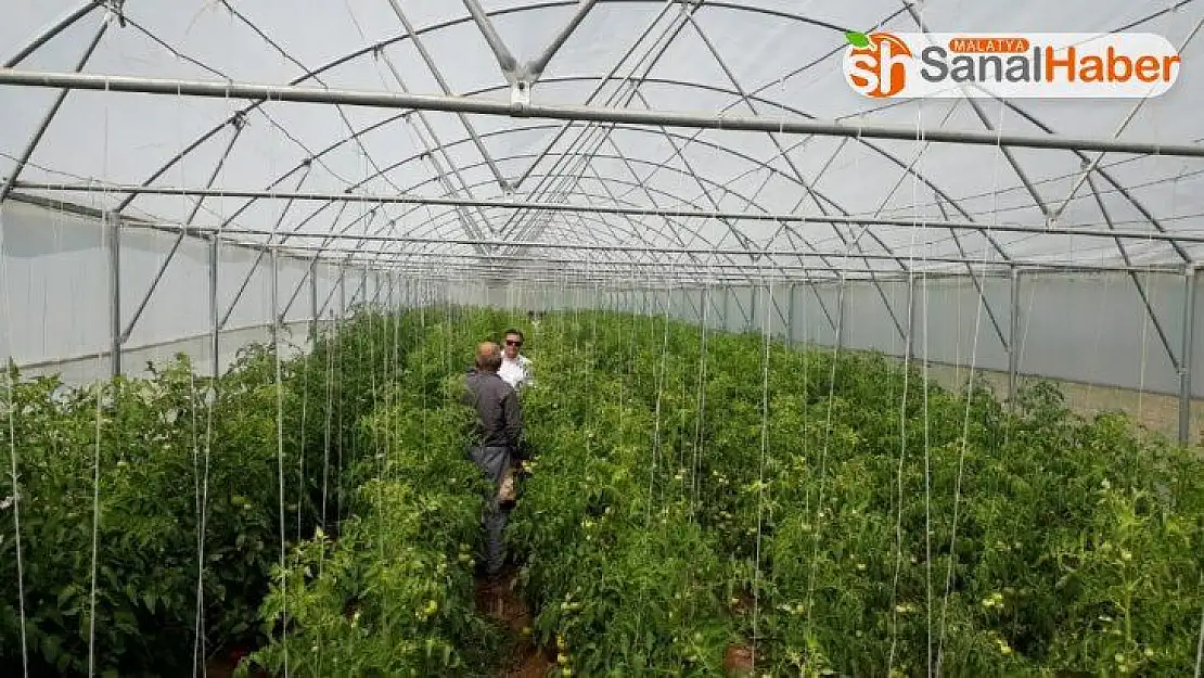 Örtüaltı tarımcılıkta  en düşük illerden biri Malatya