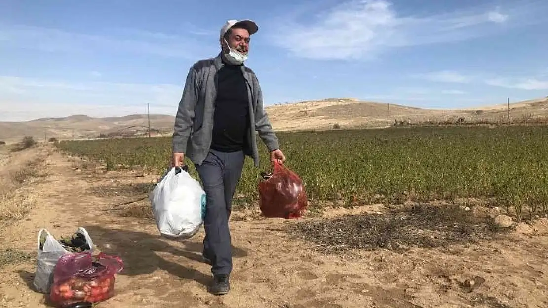 'Marketlerdeki fiyata kızdı, 20 dönümlük sebze tarlasını vatandaşlara ücretsiz açtı'