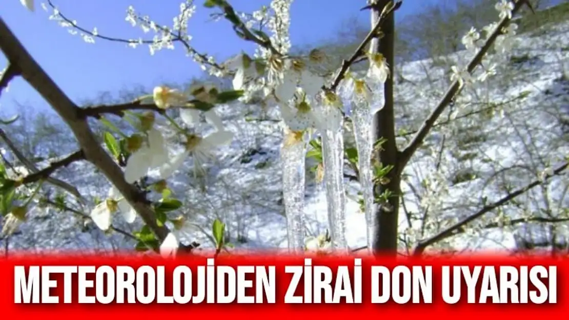 Meteorolojiden zirai don uyarısı