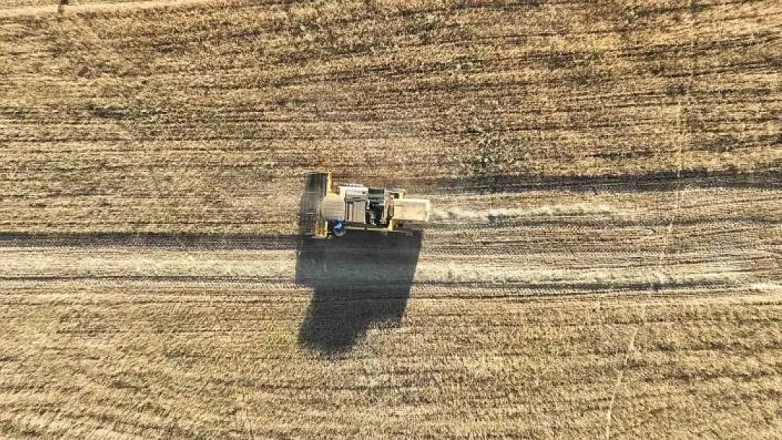 'Metruk bir evde bulunmuştu, 150 ton rekolte bekleniyor'