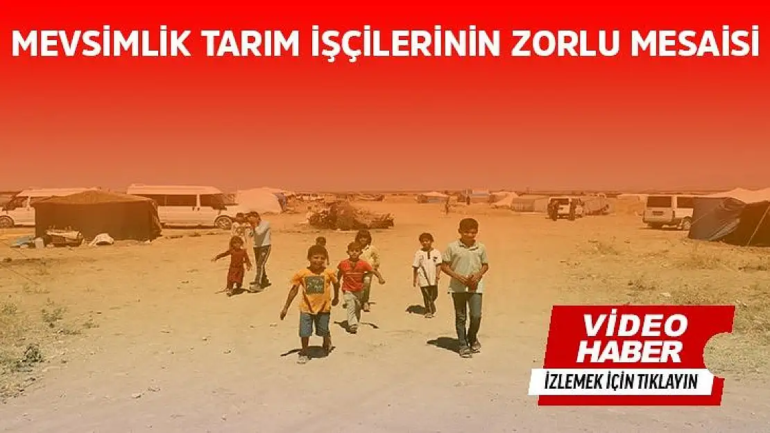 Mevsimlik tarım işçilerinin zorlu mesaisi