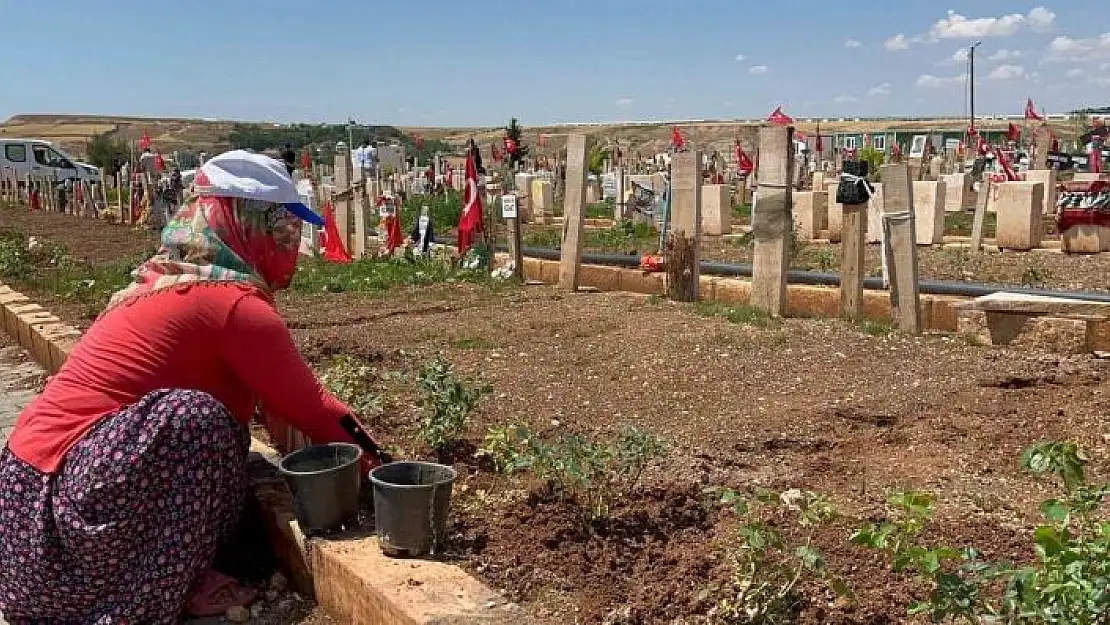 'Mezarlıkta bayram hazırlıkları devam ediyor'