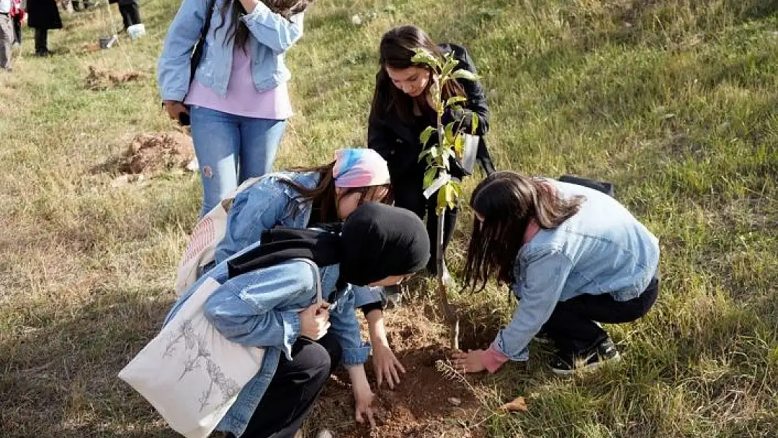 'Mezun oldukları üniversitede hatıra ormanı oluşturdular'