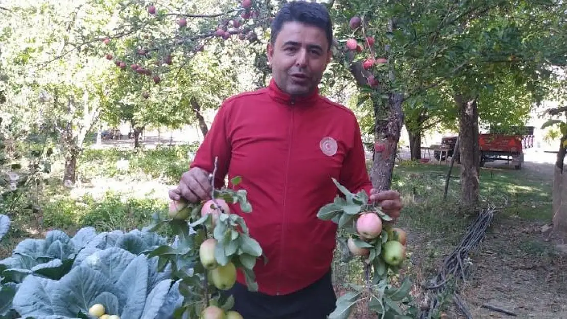 'Milletvekili elma hasadına katıldı'