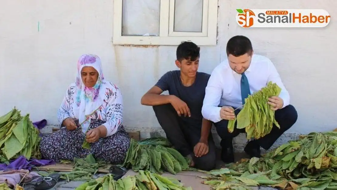 Milletvekili Toprak, tütün üreticilerine kolaylık diledi