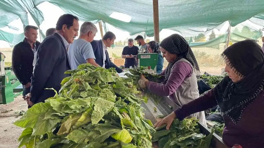 'Milletvekili Tutdere, köylülerin sorunlarını dinliyor'