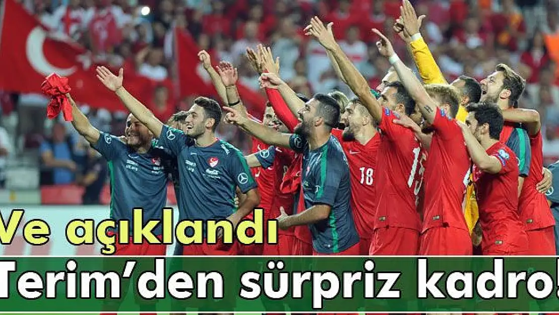 A Milli Takım aday kadrosu açıklandı