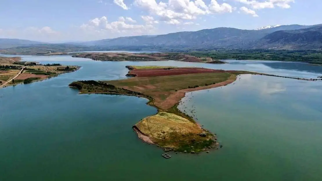 'Milyonluk adaya müşteri çıkmadı, onlarda atayı sürüp yem bitkisi ekti'