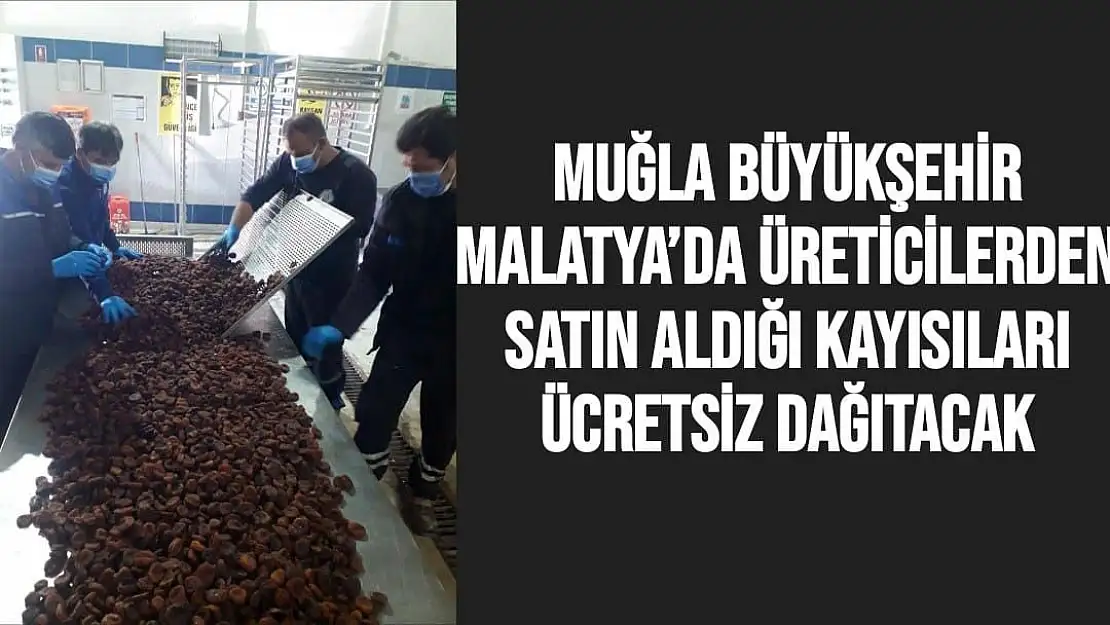 Muğla Büyükşehir, Malatya´da üreticilerden satın aldığı kayısıları ücretsiz dağıtacak