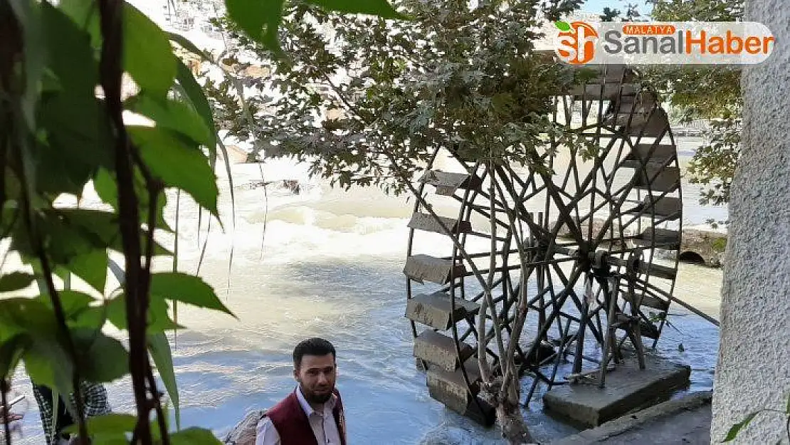 Nar festivalinde Suriyelilerden dünyaya barış mesajı