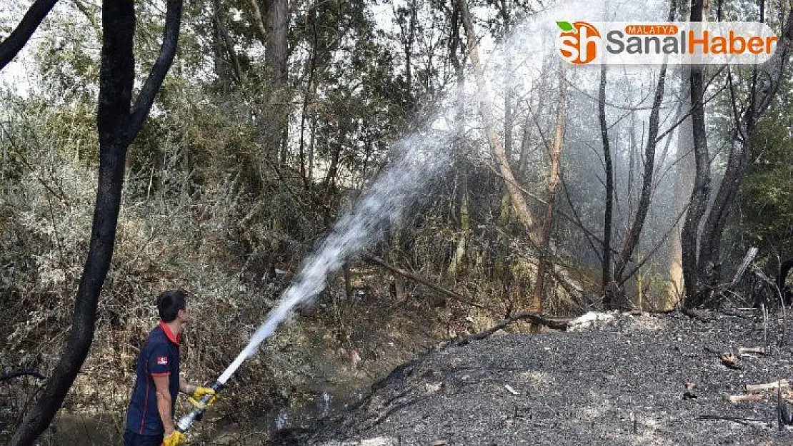 Malatya´da 10 hektar alanı küle çevirdi