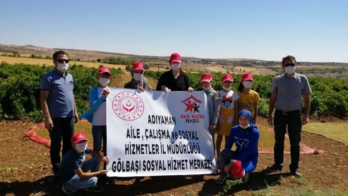 'Öğrenciler üzüm bağlarını gezdi'