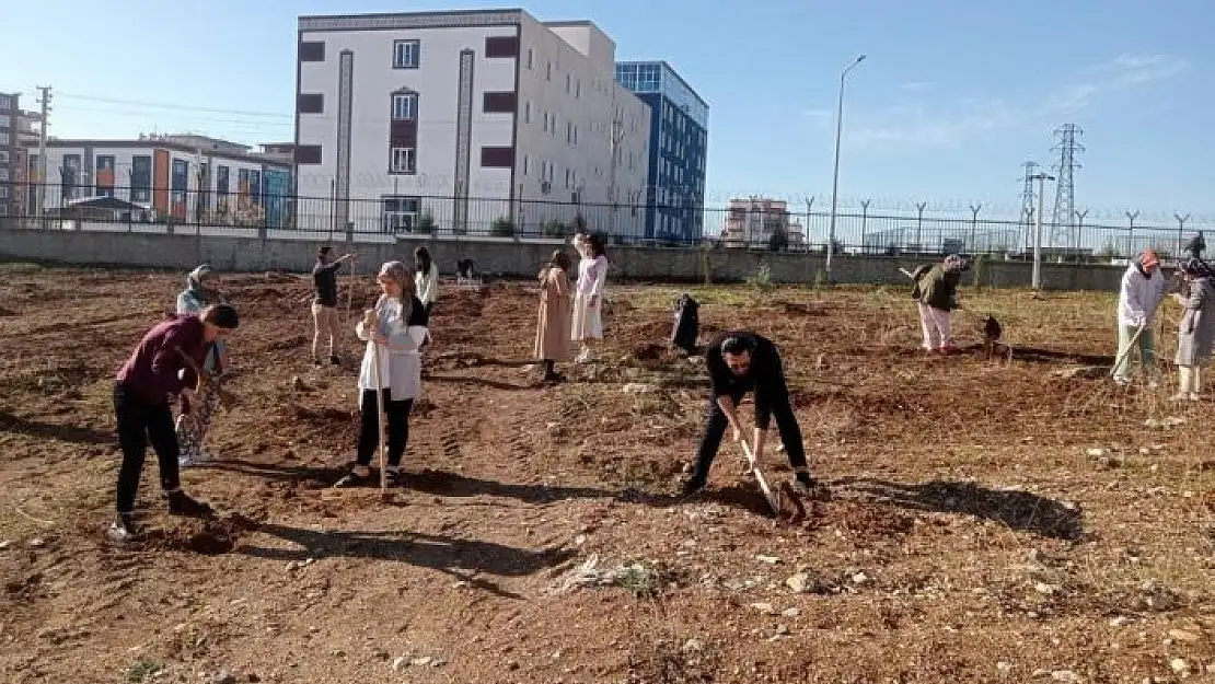 'Öğrenciler yurt bahçesine fidan dikti'