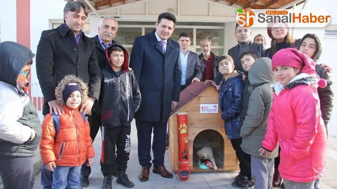 Öğrencilerden sokak hayvanlarına sıcak yuva