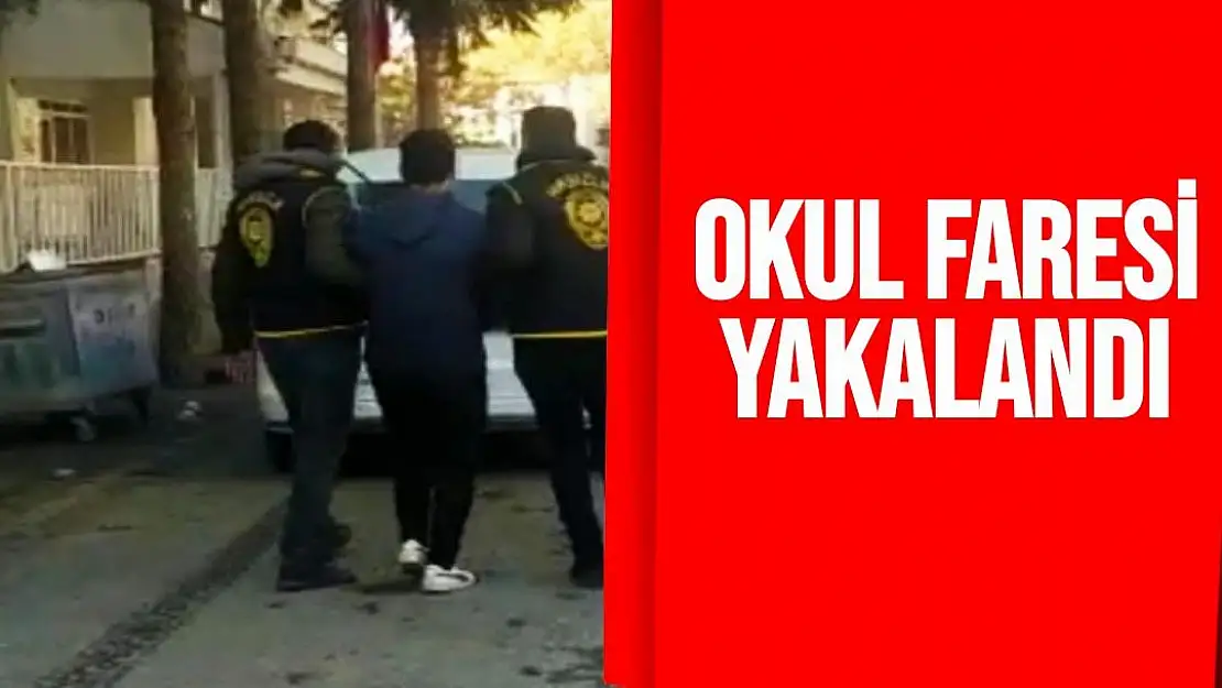 Okul faresi yakalandı