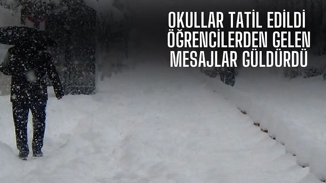 Okullar tatil edildi, öğrencilerden gelen mesajlar güldürdü