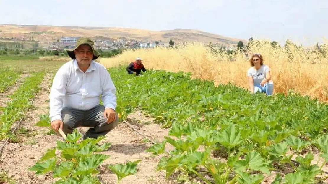 'Okumanın yaşı olmaz dediler, geleceğin mesleğine adım attılar'