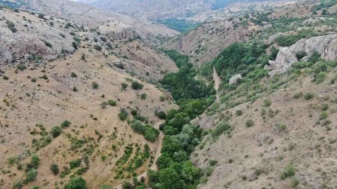 'Ölbe vadisi ve Deve Mağarası turizme kazandırılmayı bekliyor'