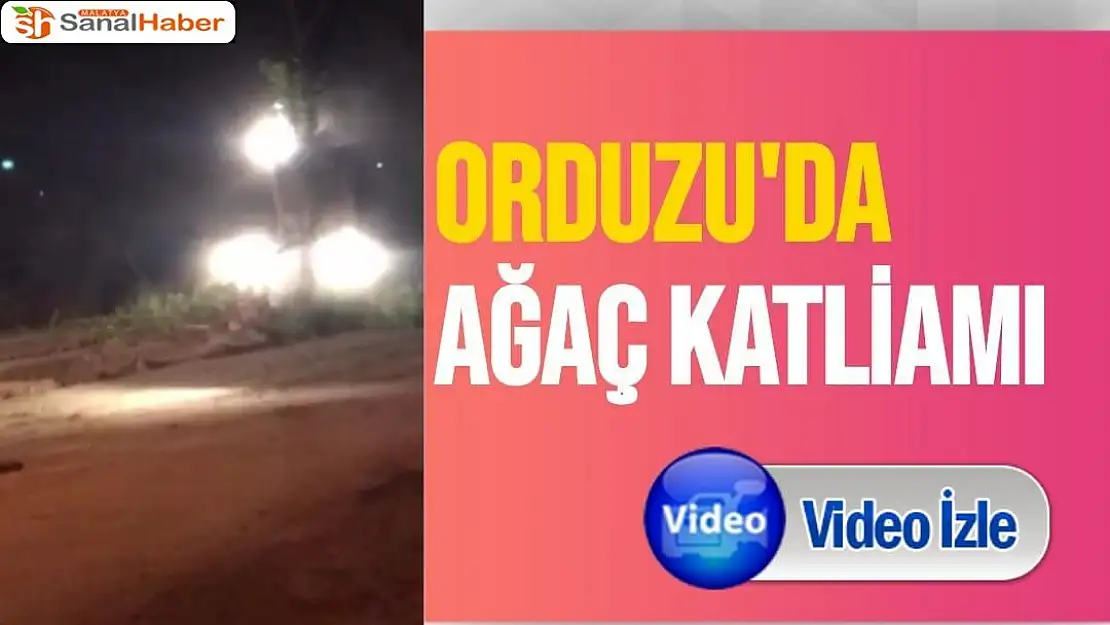 Orduzu'da ağaç katliamı