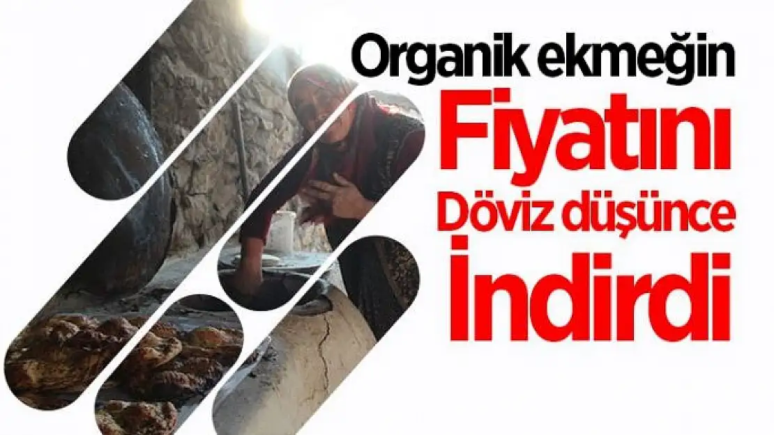 Organik ekmeğin fiyatını döviz düşünce indirdi