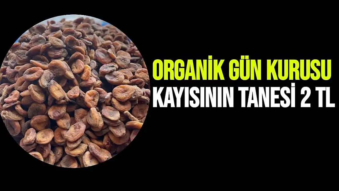 Organik gün kurusu kayısının tanesi 2 TL