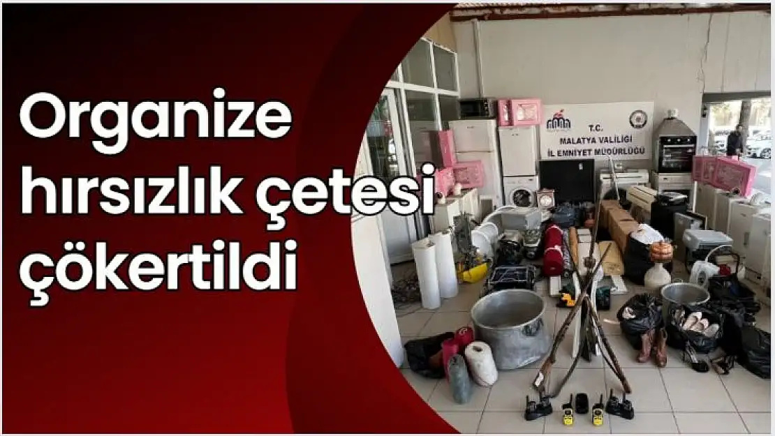 Organize hırsızlık çetesi çökertildi