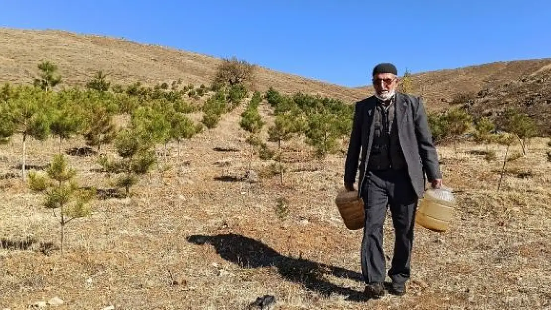 '`Orman Dede´, babadan kalma arazisini 11 yılda ormana dönüştürdü'