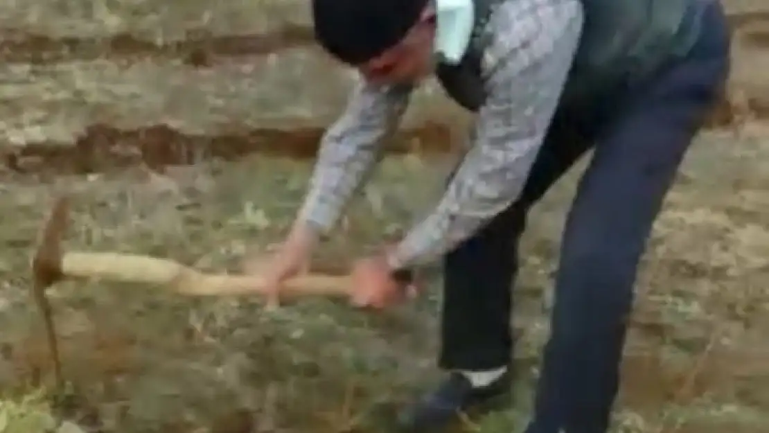 '''Orman Dede'' bu kez de 11 bin meşe palamudunu toprakla buluşturdu'