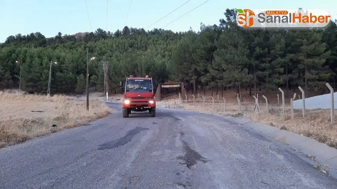Orman yangını korkuttu