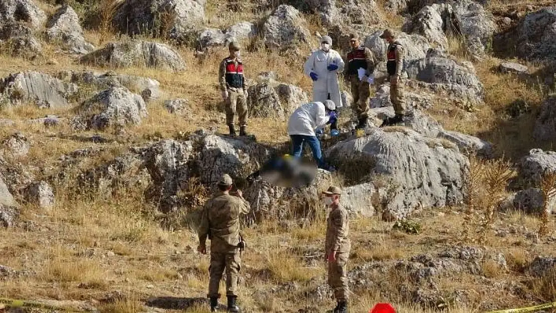 'Ormanlık alanda ceset bulundu'