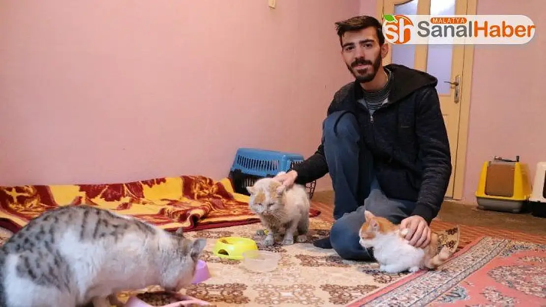 Örnek genç, depremzede kedileri en kaz altından çıkardı, sahiplendi