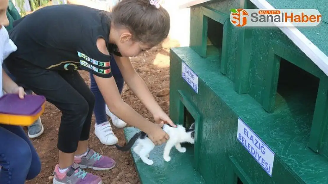 Örnek projeyle 'Kedi ve köpekler' okul bahçesinde