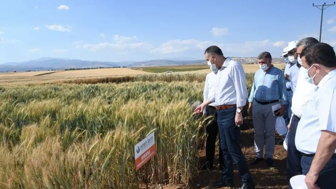'Orta Doğu´nun ve Avrupa´nın tohumu Adıyaman´dan'