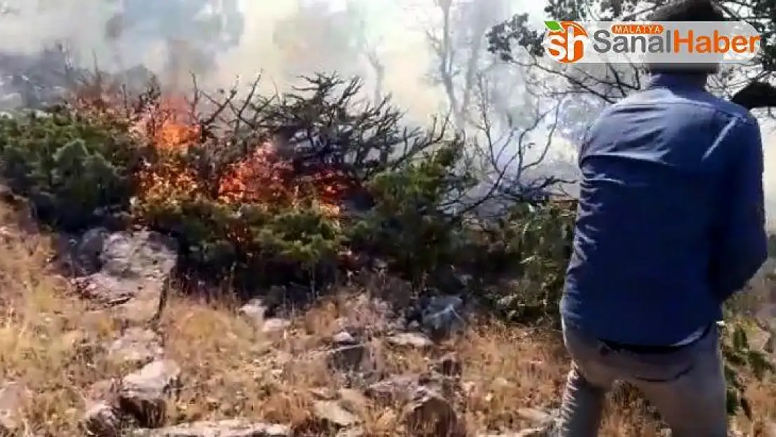 Örtü yangınında 1 hektarlık alan kül oldu