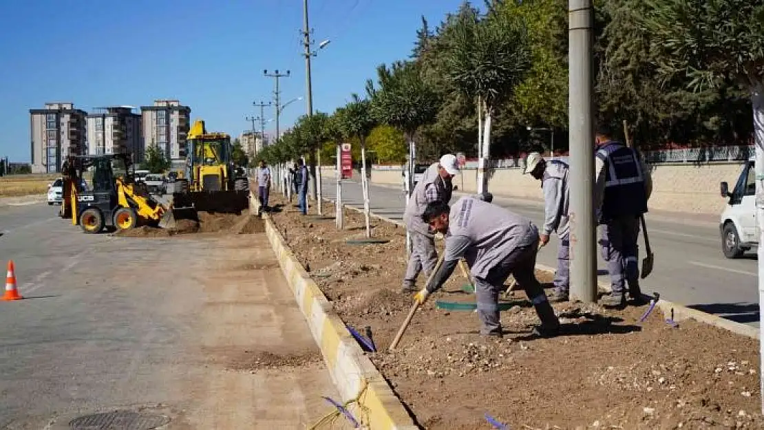 'OSB yolunda ağaçlandırma çalışması'