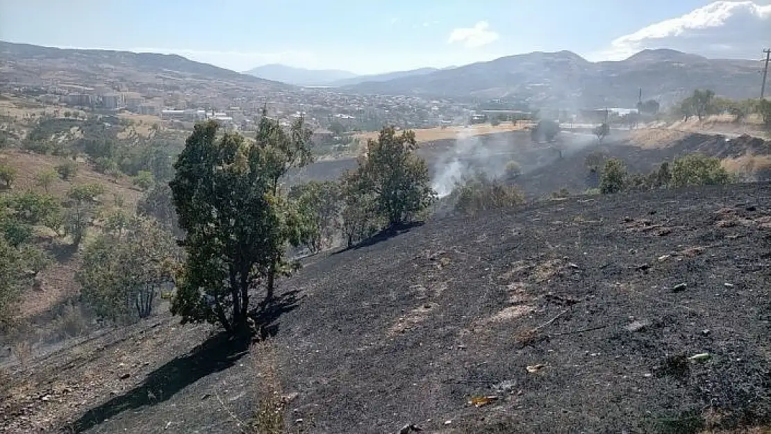 'Otluk alanda çıkan yangın korkuttu'
