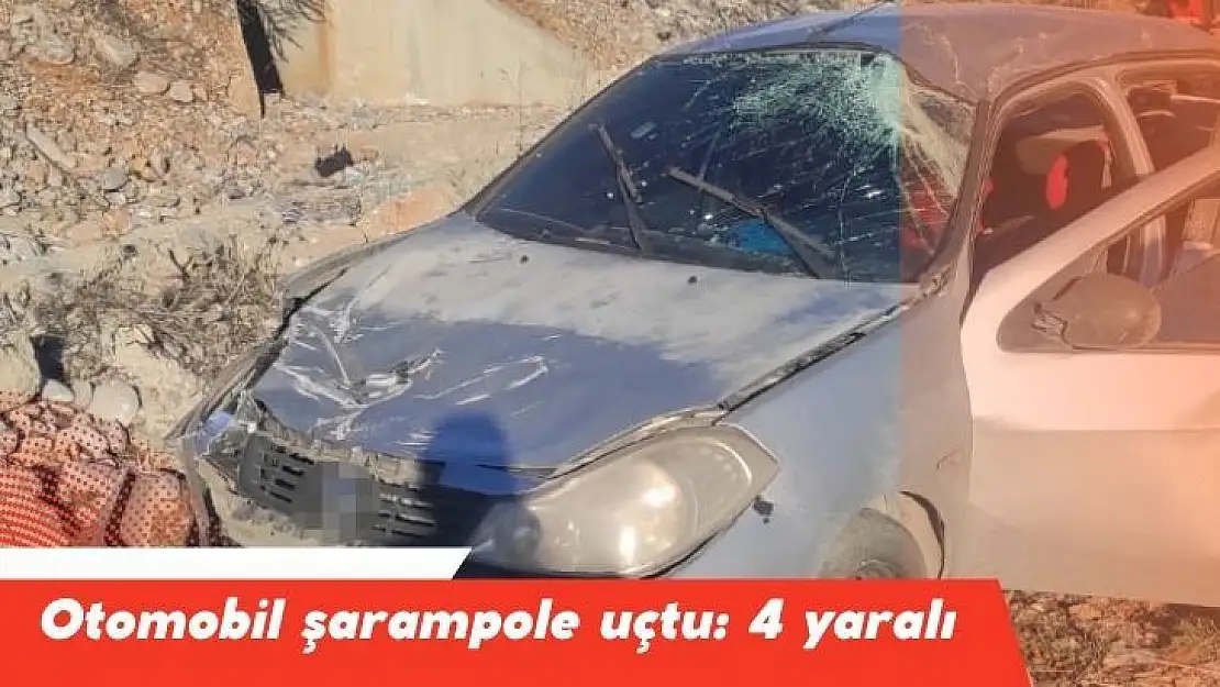 Otomobil şarampole uçtu: 4 yaralı