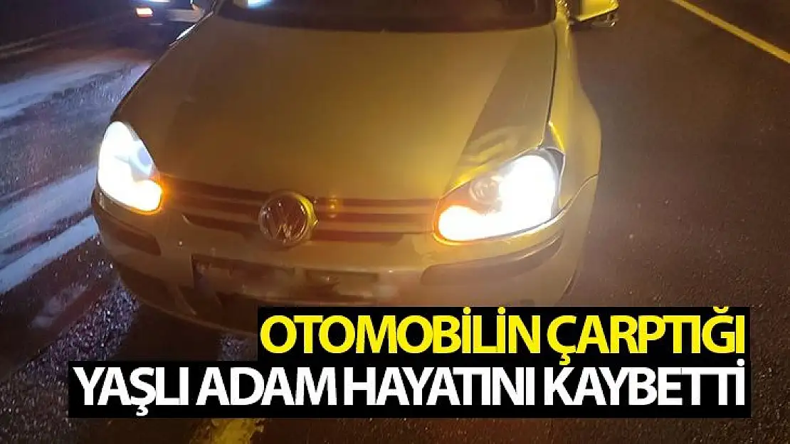 Otomobilin çarptığı yaşlı adam hayatını kaybetti