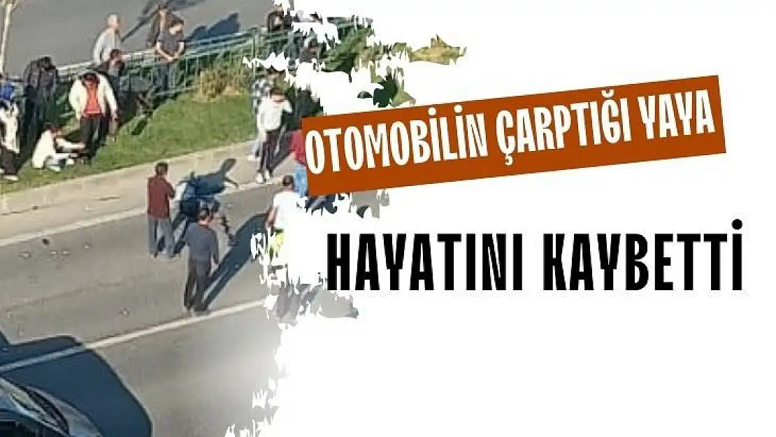 Otomobilin çarptığı yaya hayatını kaybetti