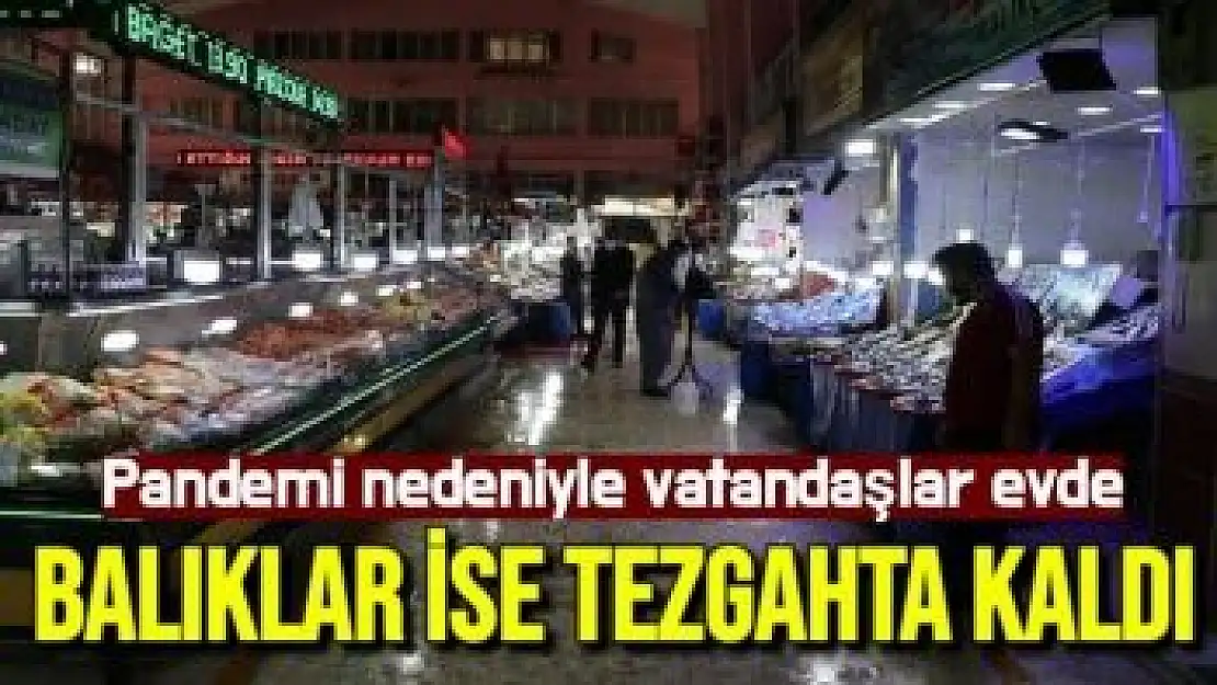 Pandemi nedeniyle vatandaşlar evde, balıklar ise tezgahta kaldı