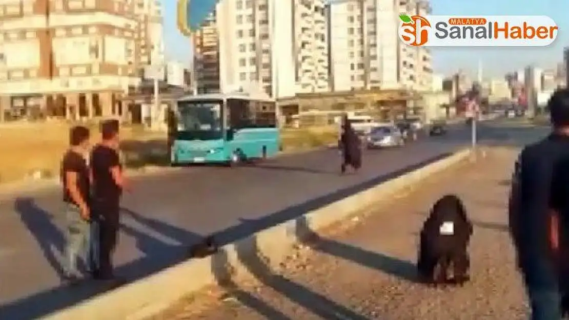 Paraşütçü karayoluna indi