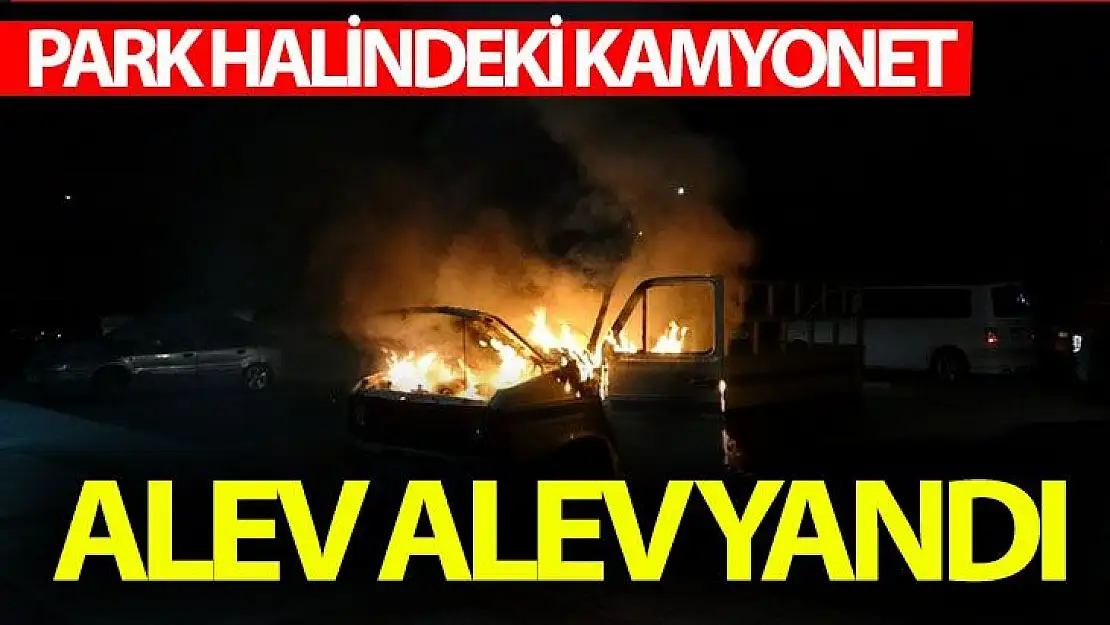 Park halindeki kamyonet alev alev yandı